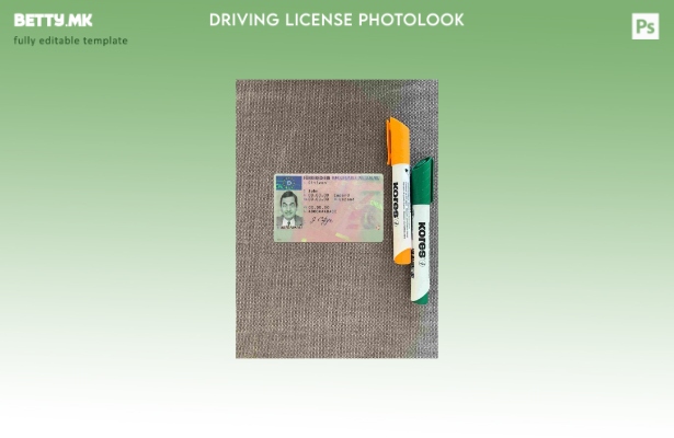 Модерен стил Германија DL photolook ПРЕДЕН шаблон